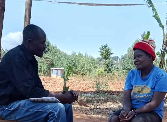 Counseling and therapy sessions